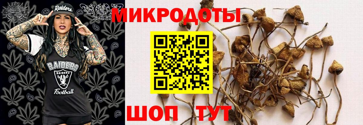 Псилоцибиновые грибы Cubensis Одинцово