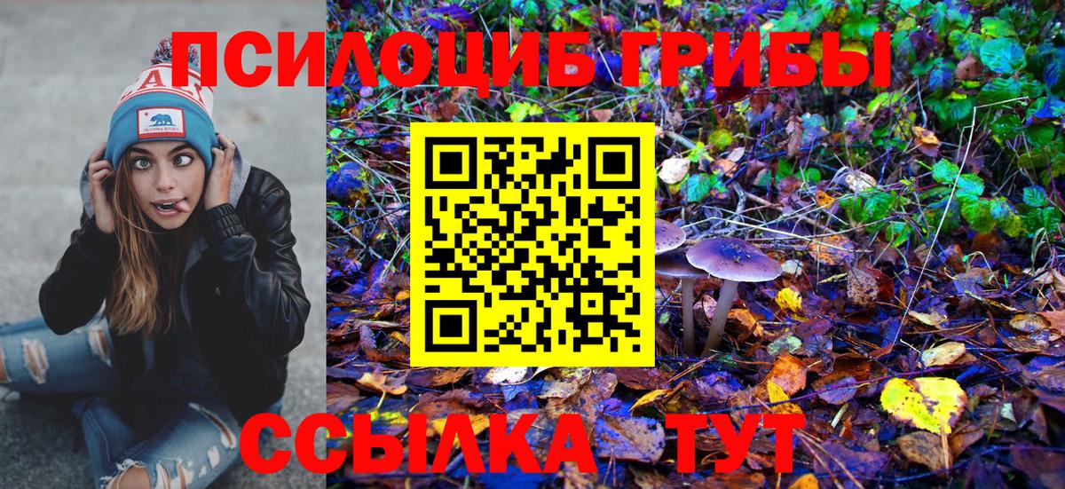 Галлюциногенные грибы GOLDEN TEACHER  Вход с VPN  Псилоцибиновые грибы GOLDEN TEACHER  Одинцово 
